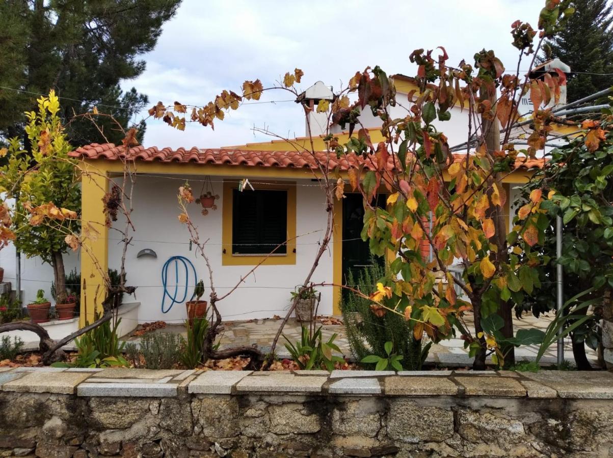 Villa Casas De Campo Em Cerejal Fundão Exterior foto