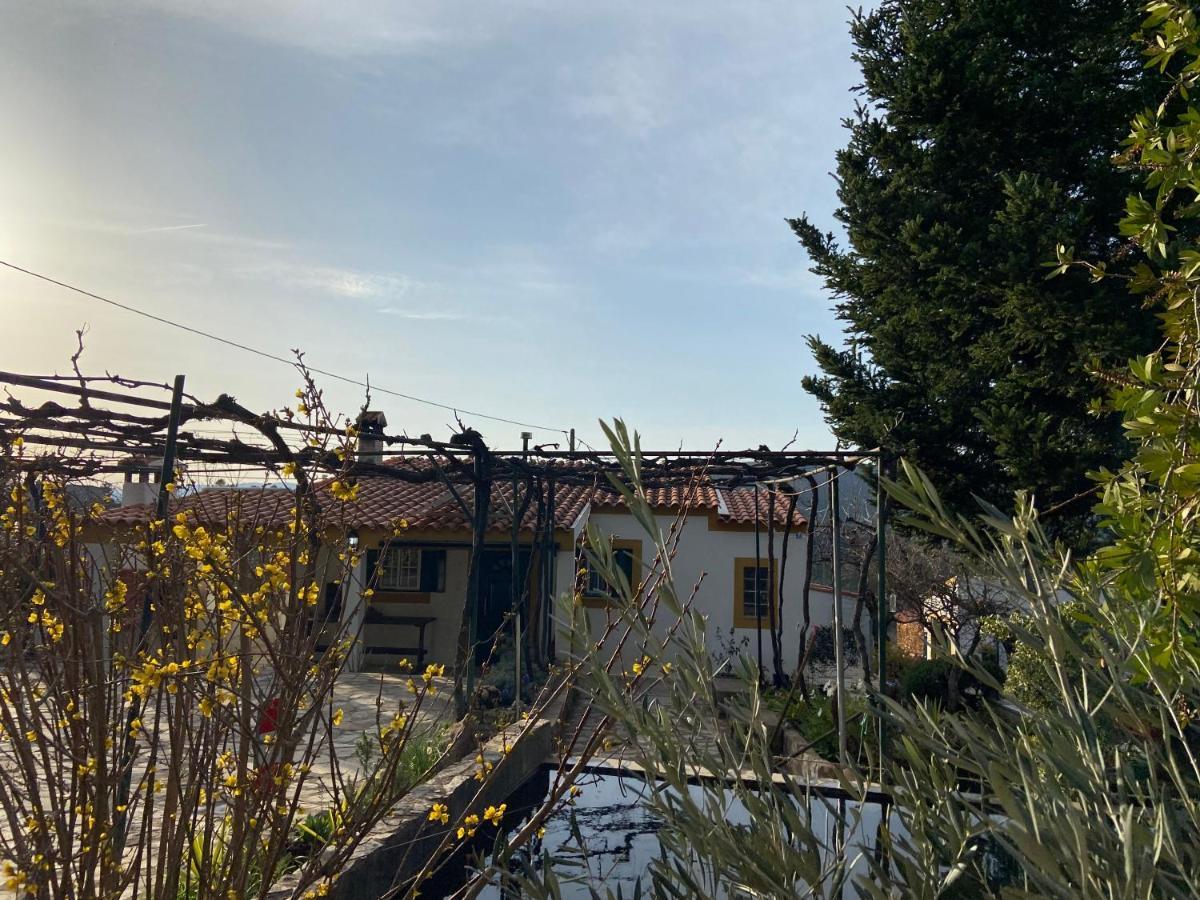 Villa Casas De Campo Em Cerejal Fundão Exterior foto