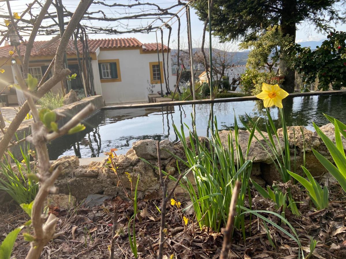 Villa Casas De Campo Em Cerejal Fundão Exterior foto